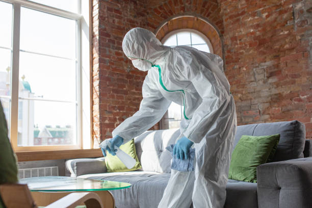 Mold Remediation for Rental Properties